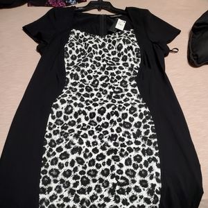 Lane bryant fitted cheetah dress